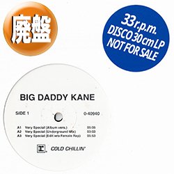 画像1: BIG DADDY KANE / VERY SPECIAL (REMIX) [◎中古レア盤◎お宝！メロウミドル最高峰！大ネタ！]