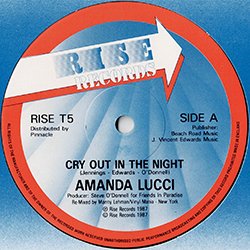 画像2: AMANDA LUCCI / CRY OUT IN THE NIGHT (英原盤/12"MIX) [◎中古レア盤◎お宝！本物の原盤！哀愁マハラジャ！涙のナイトライン！]