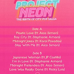 画像2: WILLY CALDERON / THE BIRTH OF CITY POP SALSA (LP/全8曲) [■LP■激レア！超少量生産！シティポップカバー傑作！]