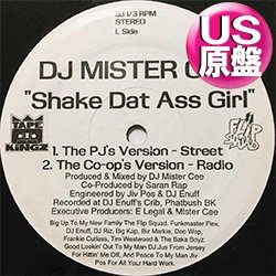 画像1: DJ MISTER CEE / WHERE BROOKLYN AT? (米原盤/全2曲) [◎中古レア盤◎お宝！「RIGHT HERE」使い！パーティー定番！]