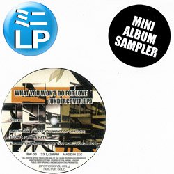 画像1: V.A / WHAT YOU WON'T DO FOR LOVE (ミニLP/全6曲) [■廃盤■お宝！少量生産！全曲「風のシルエット」使い！極上内容！]