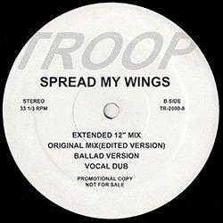 画像2: TROOP / SPREAD MY WINGS (7VER) [◎中古レア盤◎激レア！超少量生産！幻の7バージョン盤！]