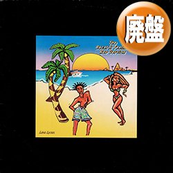 画像1: LISA LYNN / FEELING SONG (4VER) [■廃盤■お宝！少量生産！お洒落"バカルディ"カバー！]