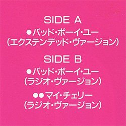 画像2: RADIORAMA / バッド・ボーイ・ユー (原盤/12"MIX) [◎中古レア盤◎お宝！美品盤！海外高値の帯付！マハラジャ！]