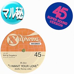 画像1: CHIC / I WANT YOUR LOVE (マル秘EDIT/全2曲) [◎中古レア盤◎激レア！少量生産！マル秘EDIT！TODD TERJE！]