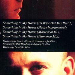 画像2: DEAD OR ALIVE / SOMETHING IN MY HOUSE (原盤/REMIX) [◎中古レア盤◎お宝！ジャケ付原盤！必殺「WIPE OUT MIX」入り！]