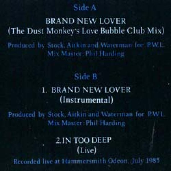 画像2: DEAD OR ALIVE / BRAND NEW LOVER (英原盤/12"MIX) [◎中古レア盤◎お宝！本物の原盤！「IN TOO DEEP」のライヴMIX入り！] (2)