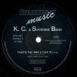画像3: K.C. & THE SUNSHINE BAND / THAT'S THE WAY (独原盤/NYスタイルMIX) [◎中古レア盤◎激レア！ドイツのみ！1番人気REMIX！] (3)