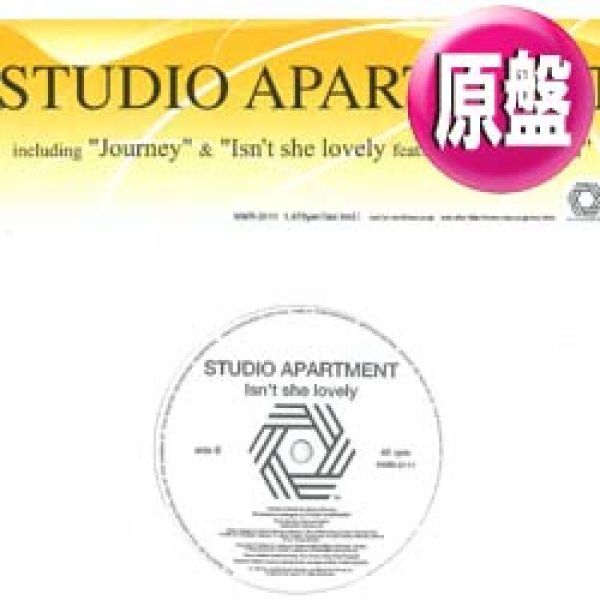 画像1: STUDIO APARTMENT feat KENNY BOBIEN / ISN'T SHE LOVELY (原盤/全2曲) [◎中古レア盤◎お宝！少量生産！ソウルフルHOUSEカバー！] (1)