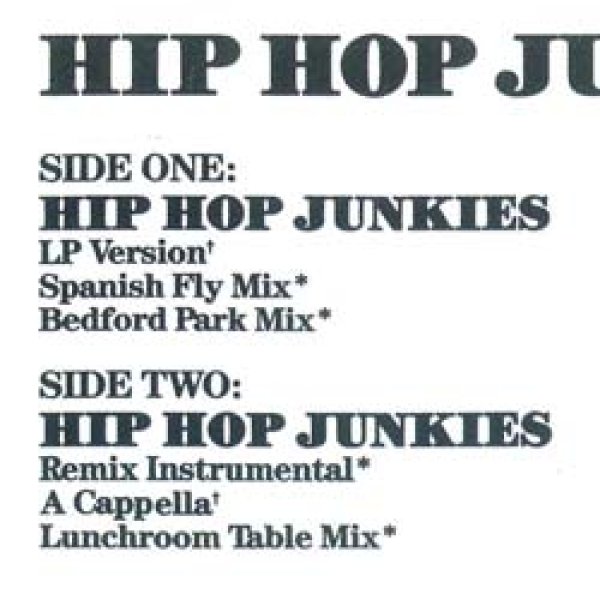 画像2: NICE & SMOOTH / HIP HOP JUNKIES (REMIX) [■廃盤■お宝！人気ジャケ付！90's初期ミドル名曲！好音質盤！] (2)