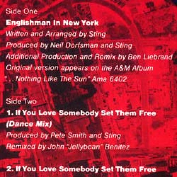 画像2: STING / ENGLISHMAN IN NEW YORK (90年MIX) [◎中古レア盤◎お宝！美品ジャケ！ファンキー90年MIX版！] (2)
