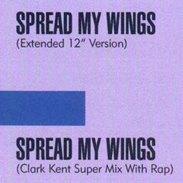 画像2: TROOP / SPREAD MY WINGS (REMIX) [■廃盤■お宝！シュリンク付美A級品！人気ジャケ付！美メロ・ニュージャック最高峰！] (2)