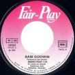 画像4: SAM GODWIN / I WANNA FREAK (7インチMIX) [◎中古レア盤◎超希少！仏盤7インチのみ！おしゃれフリーク！] (4)