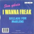 画像3: SAM GODWIN / I WANNA FREAK (7インチMIX) [◎中古レア盤◎超希少！仏盤7インチのみ！おしゃれフリーク！] (3)