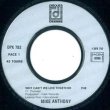 画像3: MIKE ANTHONY / WHY CAN'T WE LIVE TOGETHER (7インチMIX) [◎中古レア盤◎超お宝！フランス盤ジャケ+7インチMIX！] (3)