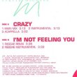 画像2: YVETTE MICHELE / I'M NOT FEELING YOU (REMIX) [◎中古レア盤◎お宝！2枚鉄板！「CHOOSE ONE」使い！] (2)