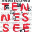 画像2: ARRESTED DEVELOPMENT / TENNESSEE (米原盤/REMIX) [◎中古レア盤◎お宝！シュリンク残！本物のUS原盤！プリンス使い！] (2)