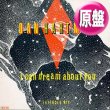 画像1: DAN HARTMAN / I CAN DREAM ABOUT YOU (英原盤/12"MIX) [◎中古レア盤◎お宝！貴重な別ジャケ！ロングMIX！] (1)