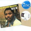 画像1: JIMMY BO HORNE / IS IT IN (7インチMIX) [◎中古レア盤◎奇跡の美品盤！オランダ版ジャケ！7インチMIX！] (1)