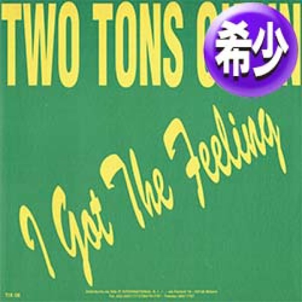 画像1: TWO TONS OF FUN / I GOT THE FEELING + 1曲 (全2曲) [◎中古レア盤◎お宝！少量生産！イタリア版ジャケ！豪華2曲！] (1)