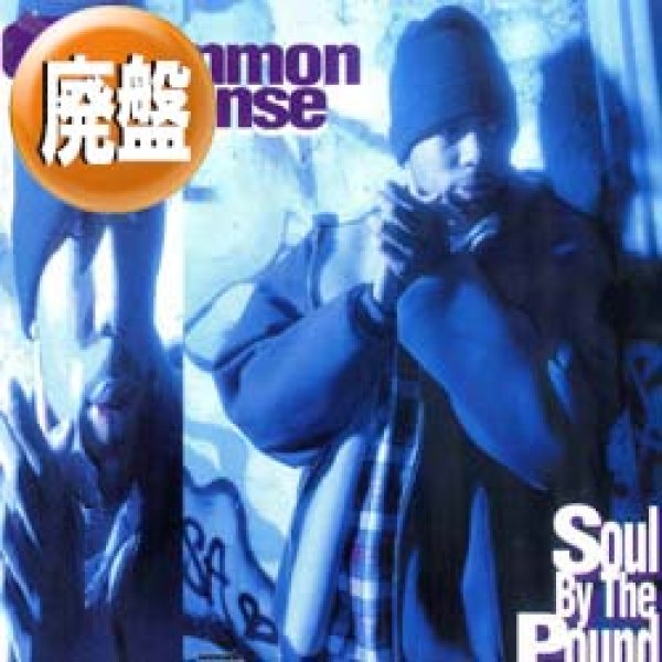 画像1: COMMON SENSE / SOUL BY THE POUND (全3曲) [■廃盤■お宝！人気ジャケ付！デバージ「I LIKE IT」使い！] (1)