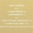 画像2: AMERIE / TAKE CONTROL (原盤/REMIX) [◎中古レア盤◎お宝！欧州ジャケ！R&Bハウス入り！] (2)