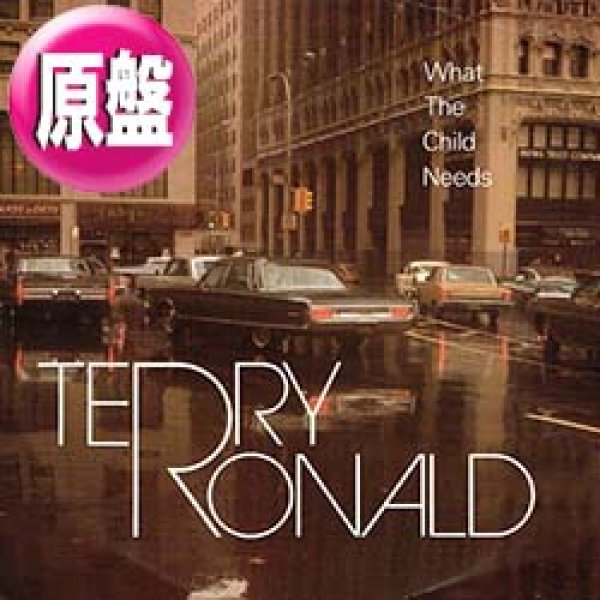 画像1: TERRY RONALD / WHAT THE CHILD NEEDS (英原盤/REMIX) [◎中古レア盤◎激レア！英国版ジャケ原盤！MUROプレイ！] (1)