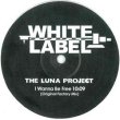 画像2: THE LUNA PROJECT / I WANNA BE FREE (REMIX/2VER) [◎中古レア盤◎激レア！少量生産！リマスター版！DAVID.Mプレイ！] (2)
