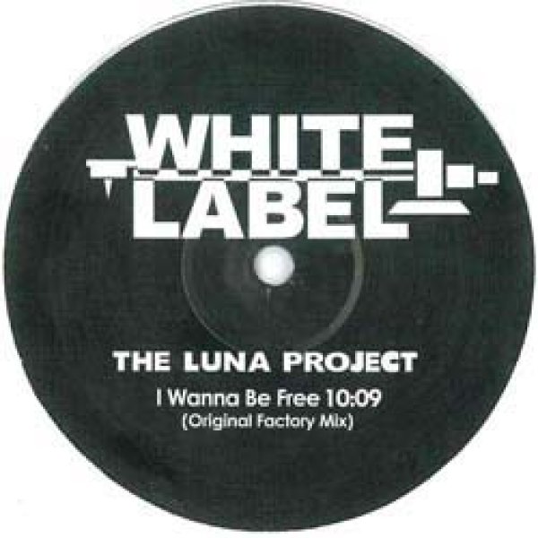 画像2: THE LUNA PROJECT / I WANNA BE FREE (REMIX/2VER) [◎中古レア盤◎激レア！少量生産！リマスター版！DAVID.Mプレイ！] (2)