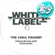 画像1: THE LUNA PROJECT / I WANNA BE FREE (REMIX/2VER) [◎中古レア盤◎激レア！少量生産！リマスター版！DAVID.Mプレイ！] (1)