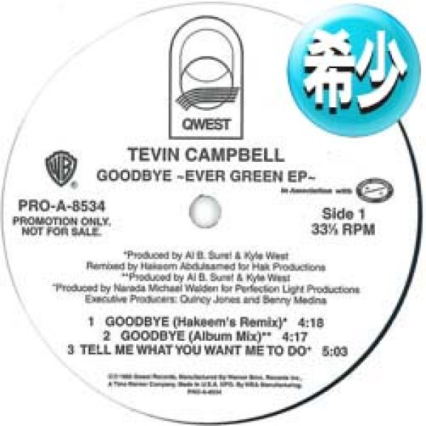 画像1: TEVIN CAMPBELL / ベスト & レアREMIX集 (全5曲) [■廃盤■お宝！少量生産！日本特別企画5曲セレクト集！音質抜群！] (1)