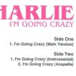 画像2: CHARLIE / I'M GOING CRAZY (原盤/3VER) [◎中古レア盤◎お宝！ROB'N'RAZ「TAKE A RIDE」使い！] (2)