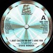 画像3: STEVIE WONDER / I JUST CALLED TO SAY I LOVE YOU (7インチMIX) [◎中古レア盤◎お宝！英国版ジャケ！7"MIX+インスト！] (3)