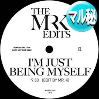 洋楽 Marvin Gaye I Want You Danny Krivit edit Marvin Gaye I Want You Danny Krivit edit - 洋楽オンライン