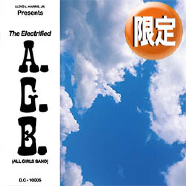 画像1: ELECTRIFIED A.G.B. / FLY AWAY (2VER) [■限定■お宝！オリジは25万！幻のディスコFUNK！] (1)