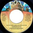 画像2: STEPHANIE MILLS / NEVER KNEW LOVE LIKE THIS BEFORE (7インチMIX) [◎中古レア盤◎お宝！オランダ版ジャケ！7"MIX！] (2)