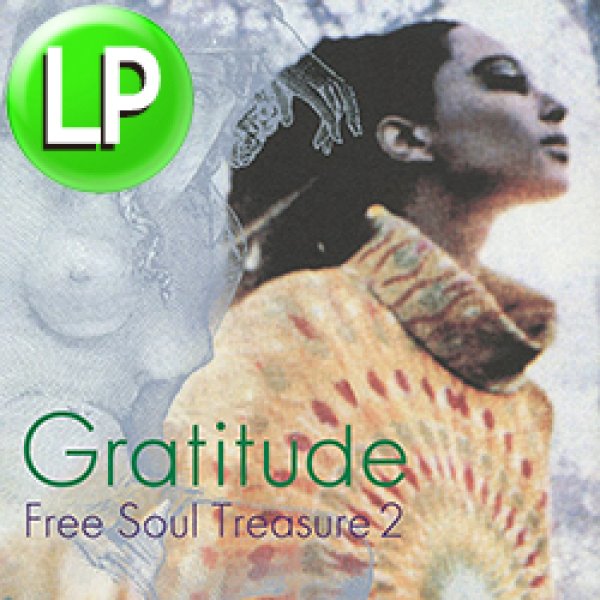 画像1: V.A / GRATITUDE 〜 FREE SOUL TREASURE 2 (LP/全10曲) [■LP■橋本徹30周年記念！究極コンピ第2弾！サバービア！] (1)