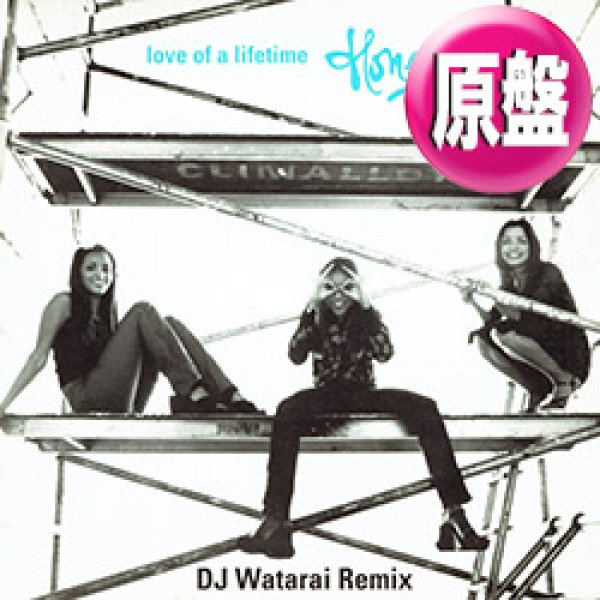 画像1: HONEYZ / LOVE OF A LIFETIME (原盤/ジャパンREMIX) [◎中古レア盤◎お宝！日本版ジャケ！ジャパンREMIX！胸キュンR&B傑作！] (1)