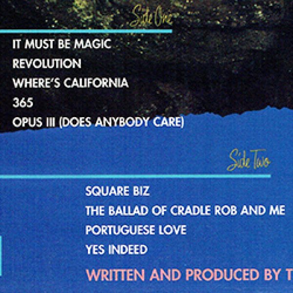 画像2: TEENA MARIE / SQUARE BIZ (LP/全9曲) [◎中古レア盤◎お宝！シュリンク付！美品！少量生産！大ネタ名盤！] (2)