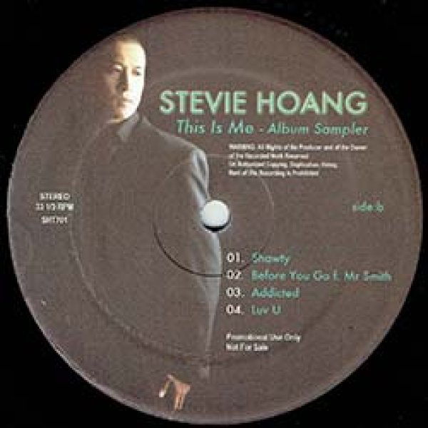 画像2: STEVIE HOANG / アルバムサンプラー (ミニLP/全7曲) [■廃盤■激レア！極少量生産！日本のみ！全曲美メロ！貴重アナログ！] (2)