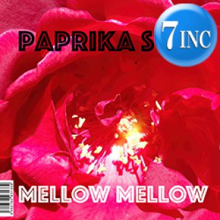 ナスティーストリートレコード】比屋定篤子 / まわれ まわれ