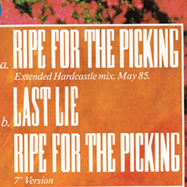 画像2: LW5 / RIPE FOR THE PICKING (英原盤/REMIX) [◎中古レア盤◎お宝！貴重な美ジャケ！極上ミッドダンクラ！隠れ最高峰の1つ！] (2)