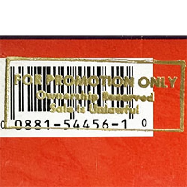 画像3: MARY J. BLIGE / REAL LOVE (米原盤/REMIX) [◎中古レア盤◎激レア！シュリンク残！金印入りのジャケ付原盤！「CLEAN UP WOMAN」使いMIX！] (3)