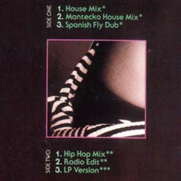 画像2: LISETTE MELENDEZ / GOODY GOODY (米原盤/6VER) [◎中古レア盤◎お宝！本物のUS原盤！屈指の90's R&B名盤！] (2)