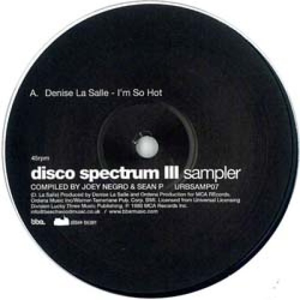 画像2: DENISE LaSALLE & MANDRE / I'M SO HOT (12"MIX/全2曲) [◎中古レア盤◎お宝！音圧最強！豪華2曲！少量生産1面使用版！] (2)