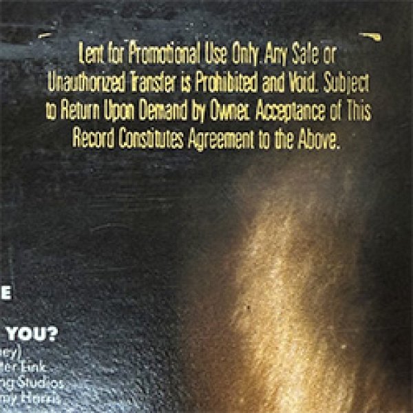 画像3: JENNY BURTON / BAD HABITS (LP原盤/全8曲) [◎中古レア盤◎お宝！金印ジャケ！本物の原盤！80's女性ダンクラ名盤！] (3)