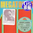 画像1: KENNY JAMES / CAN'T KEEP HOLDIN ON (米原盤/12"MIX) [◎中古レア盤◎お宝！隠れ哀愁ダンクラ！SECOND IMAGEカバー！] (1)