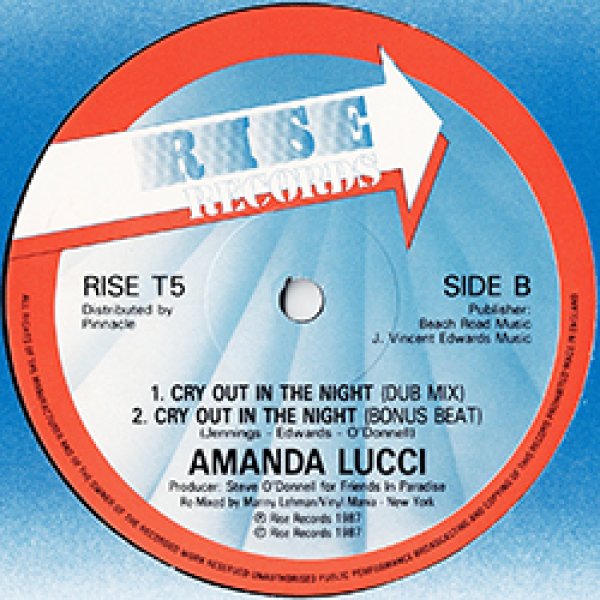 画像3: AMANDA LUCCI / CRY OUT IN THE NIGHT (英原盤/12"MIX) [◎中古レア盤◎お宝！本物の原盤！哀愁マハラジャ！涙のナイトライン！] (3)