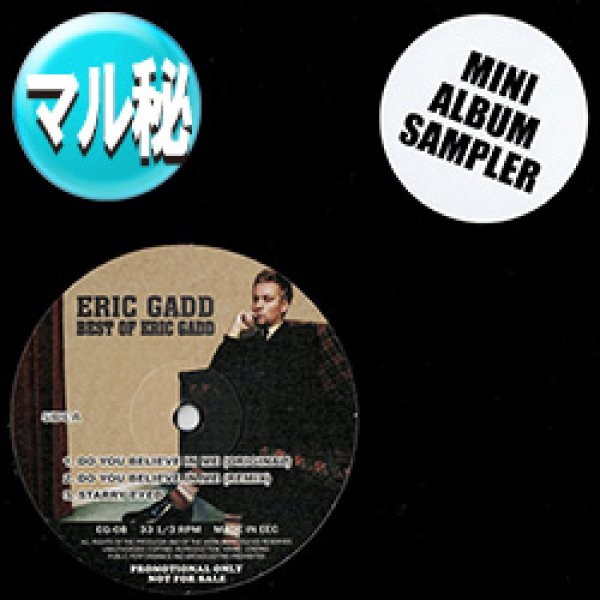 画像1: ERIC GADD / ミニLP (マル秘MIX/全5曲) [■廃盤■激レア！超極少生産！ベスト内容！マル秘MIX + 4曲！] (1)