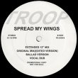 画像2: TROOP / SPREAD MY WINGS (7VER) [◎中古レア盤◎激レア！超少量生産！幻の7バージョン盤！] (2)